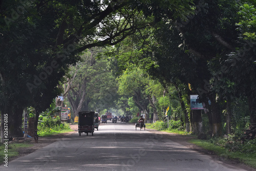 rural road alley in Bangladesh