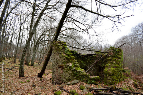 Ruinas en bosque de casta  os