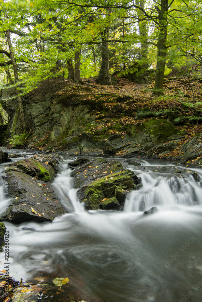 Selkewasserfall, Harz