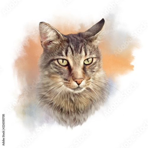 Cute cat. Watercolor portrait of a cat. Drawing of a cat with green eyes executed in watercolor. Good for print on pillow, T-shirt. Art background, banner for pet shop. Hand painted illustration.