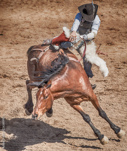 Hang On to that Horse, Pardner!