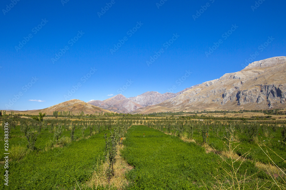 Naklejka premium Pole top aladağ and surroundings