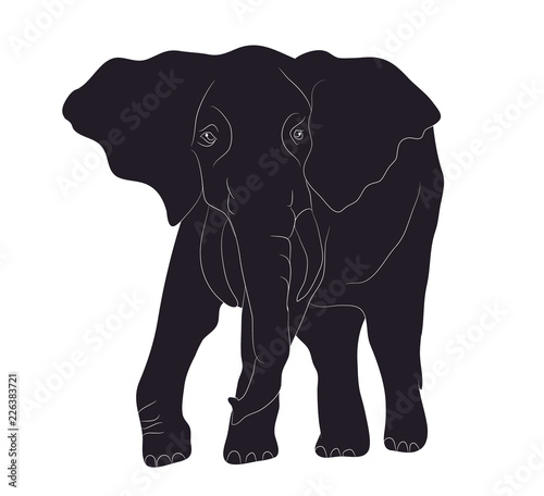 elephant goes drawing silhouette, vector