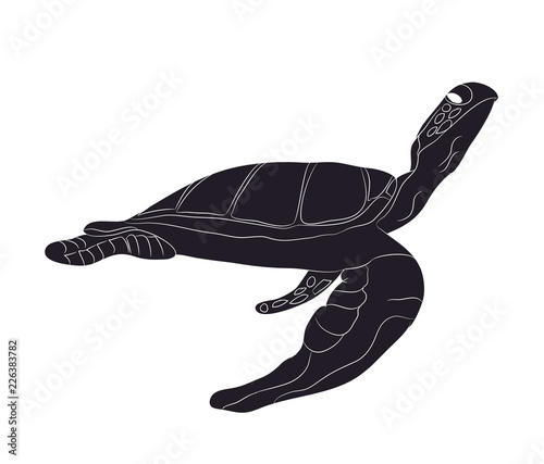 turtle swim figure silhouette, vector
