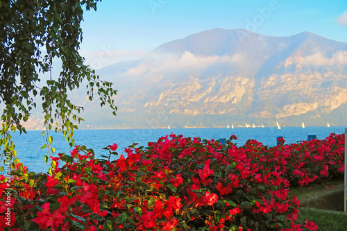 Flowers on the lakefront of Iseo,Brescia, Italy