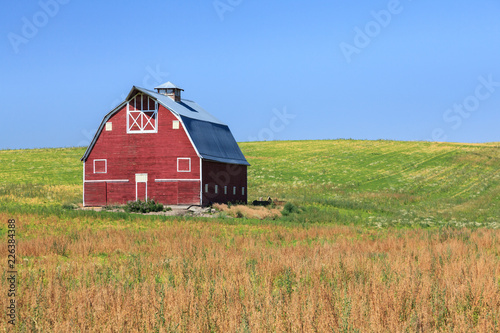 Fotografia Classic red barn in field during summer.