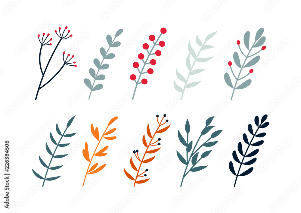 Vector illustration of a set of floral / plant branches. Christmas / winter design elements.