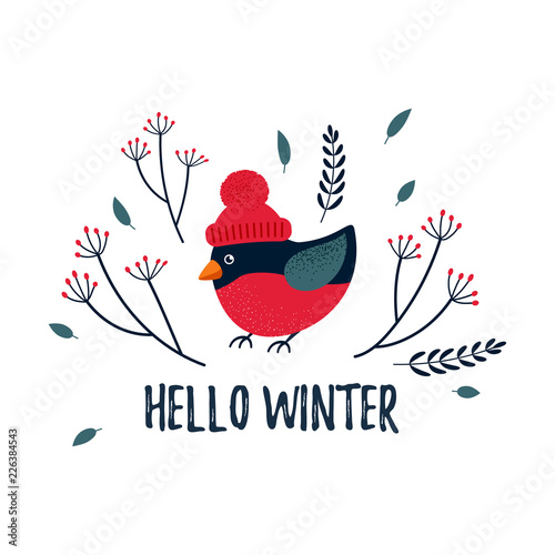 Vector Christmas / winter card with a cute bullfinch and cozy slogan. Christmas design. Hello winter.