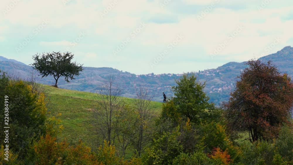 Man goes to a lone tree - (4K) Man goes to a lone tree - (4K)