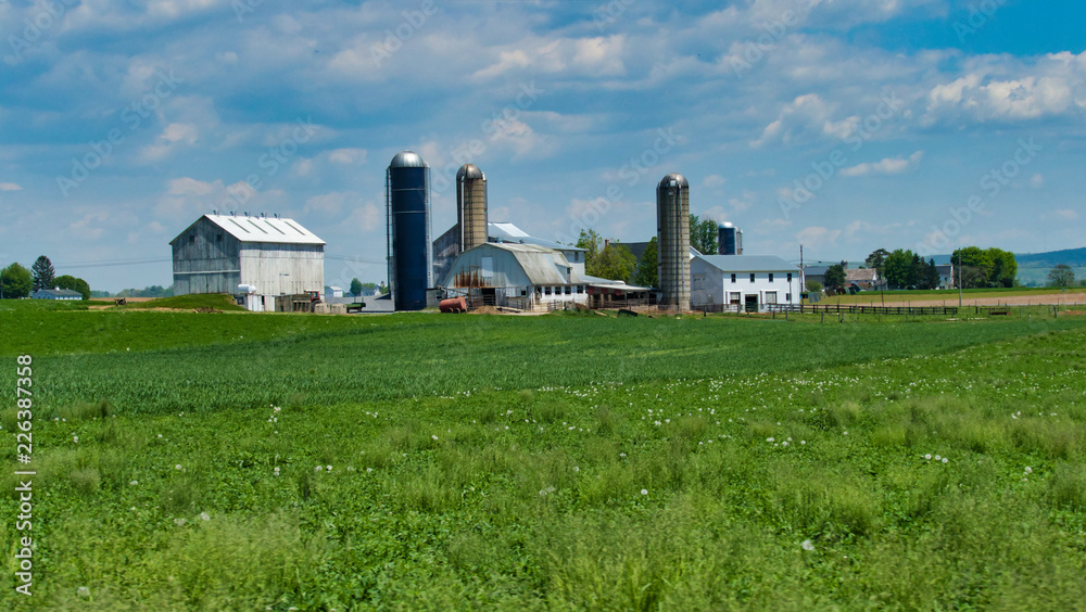 Amish Farm Landscape C