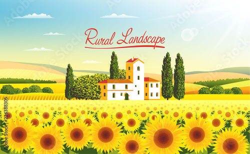 Rural landscape with a field of sunflowers, farm, fields, meadows and forests in the background