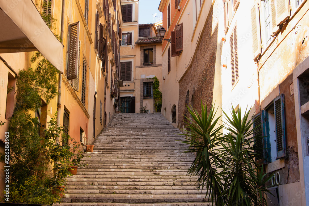Fototapeta premium Typical vintage Italian street with ivy plant hanging off the walls and staircase.