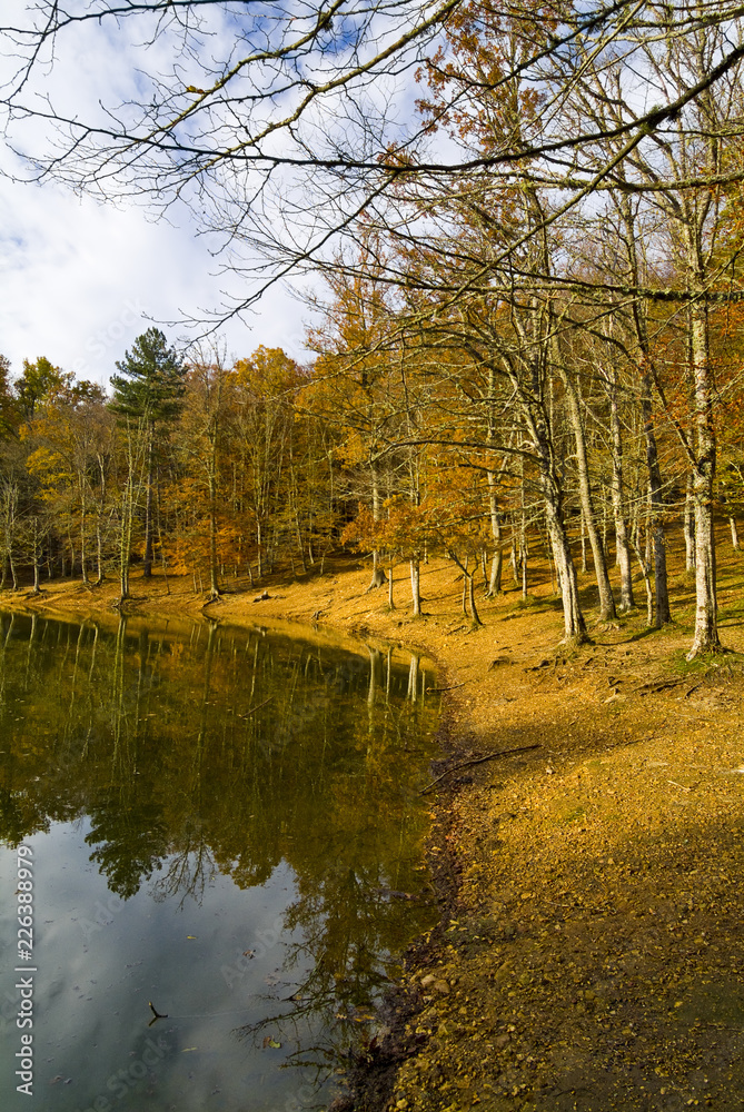 Fall season, small lake in the Foresta Umbra, Gargano, Apulia, Italy