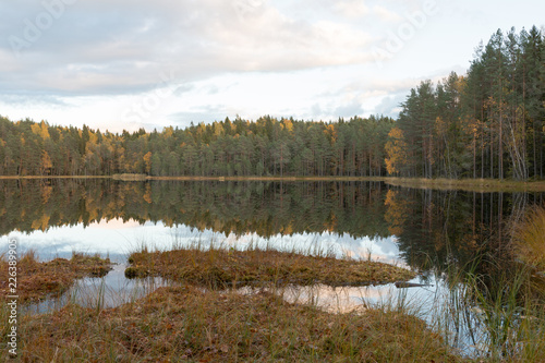 Fototapeta Naklejka Na Ścianę i Meble -  Autumn lake at evening time