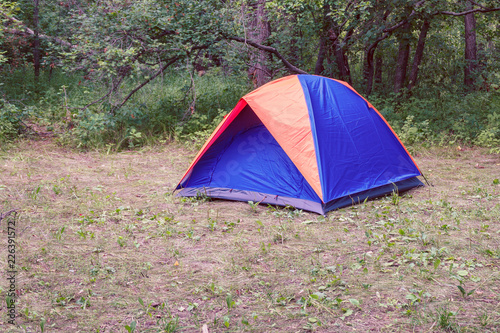 Tourist tent on the background of the forest