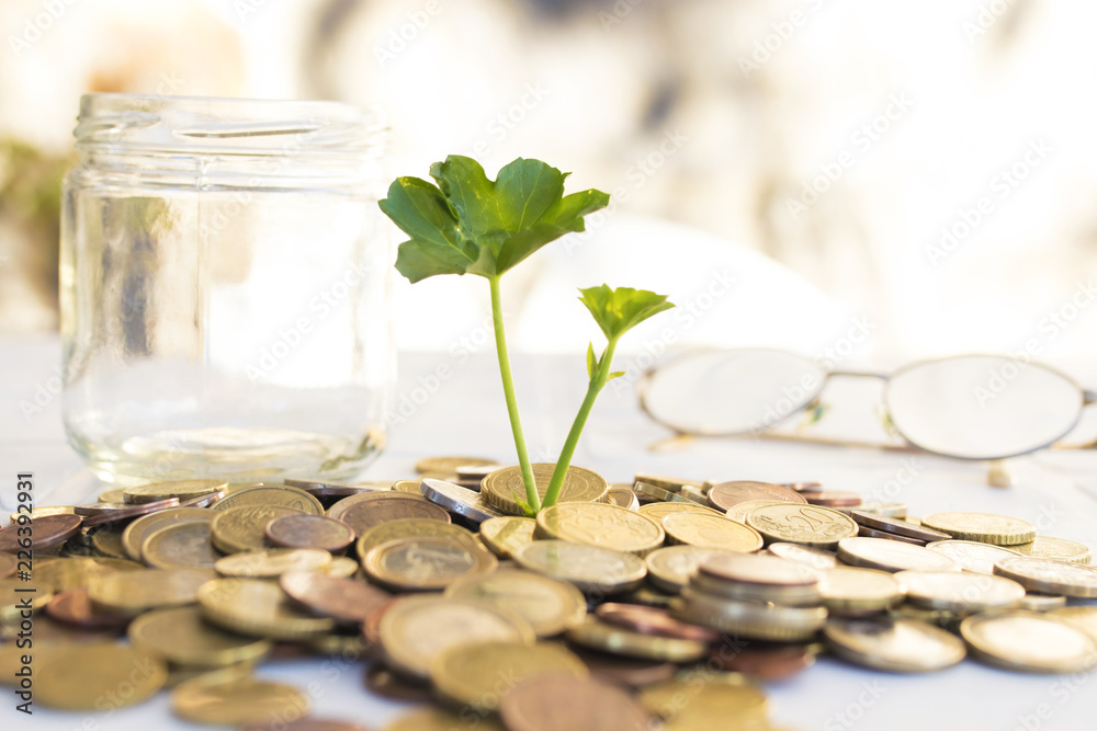 coins piled up with young plant growing, saving concept coins piled up with young plant growing, saving concept