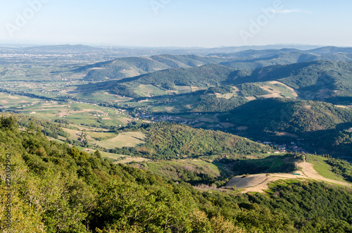 View of the green Beaujolais