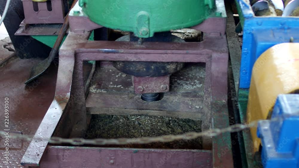 Production for the processing of rapeseed oilseeds and the production of rapeseed oil, the work of the roaster, the shafts of the roaster stir the crushed rape, rapeseed Production for the processing of rapeseed oilseeds and the production of rapeseed oil, the work of the roaster, the shafts of the roaster stir the crushed rape, rapeseed