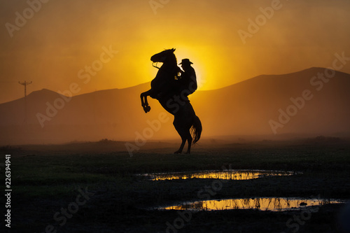 Cowboy puting his horse to stay in two feets at sunset with dust in background