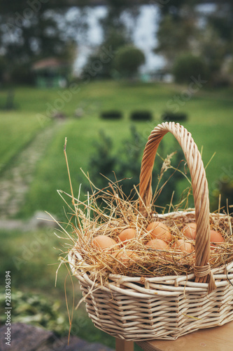 Chicken eggs lie in a wicker basket with hay