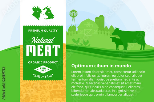 Vector meat illustration