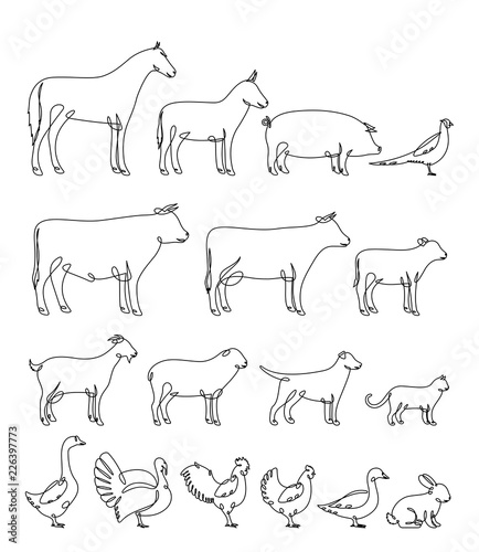Vector continuous line farm animals silhouettes