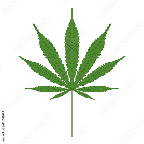 Cannabis (medical marijuana) single leaf isolated