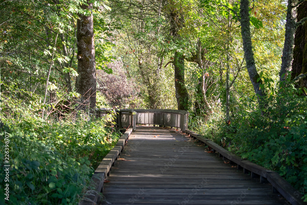 Obraz premium Wildlife Refuge