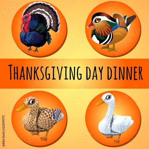 A poster on the theme of the traditional dinner for thanksgiving day. Poultry or domestic fowl. Vector cartoon close-up illustration.