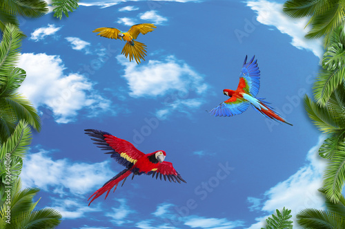 3d background, sky, palm trees, parrots