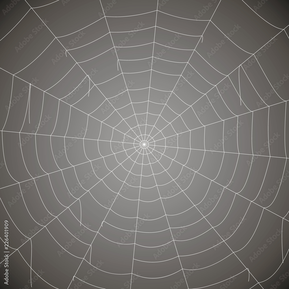 Fototapeta premium concentric white web on a gray background