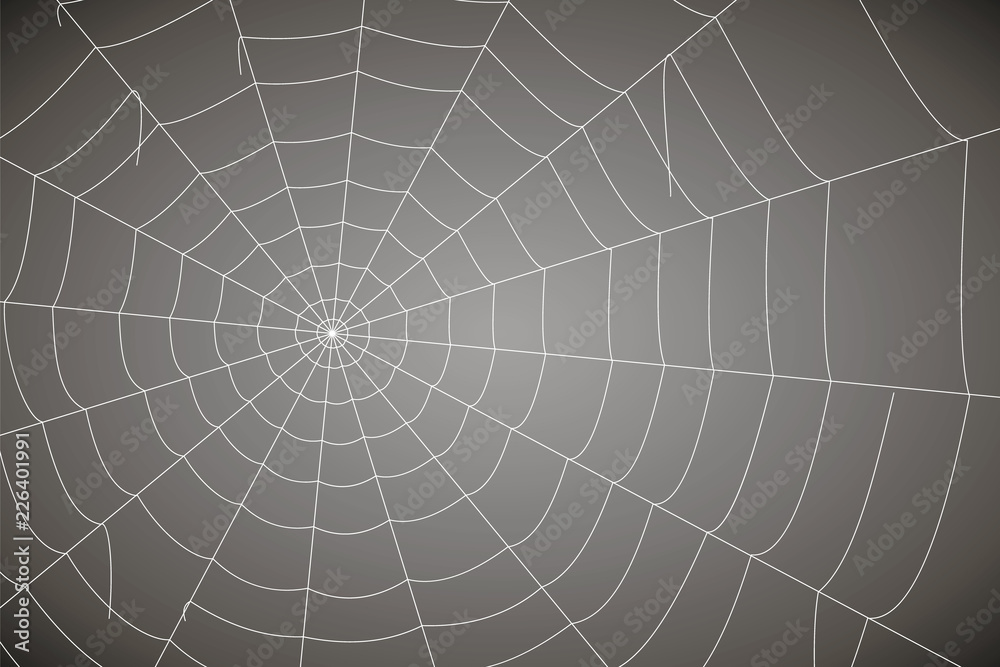 Obraz premium concentric white web on a gray background