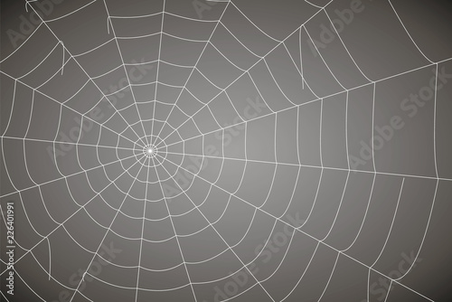 concentric white web on a gray background