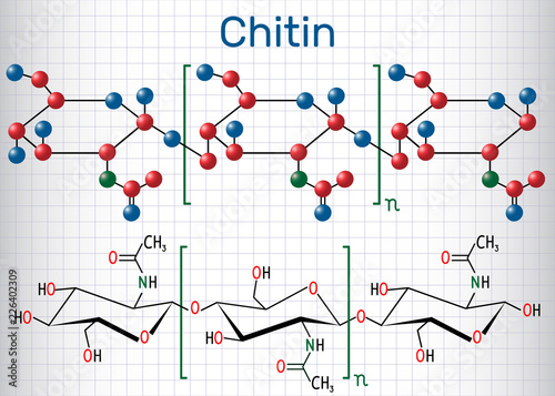 Chitin molecule. Structural chemical formula and molecule model. Sheet of paper in a cage photo