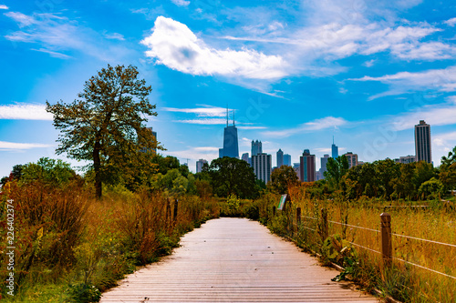 View of Chicago Skyline from a Trail at South Pond in Lincoln Park during Autumn