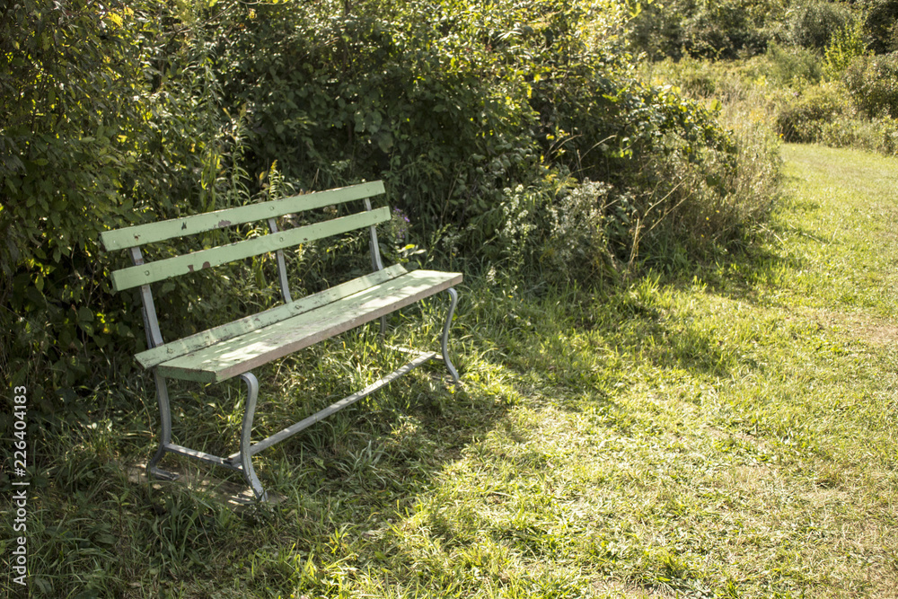 Shady Park Bench Shady Park Bench