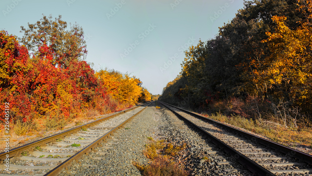 rails shot close to a sunny autumn day rails shot close to a sunny autumn day