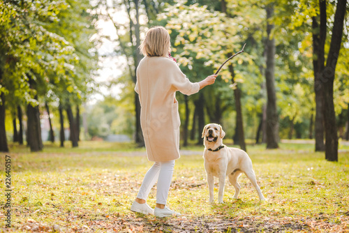 .A young woman plays with her dog Labrador in the park in the fall. Throws a stick to the dog. © sergo321