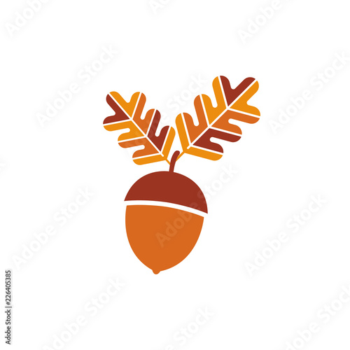 Acorn with oak leaves in flat design and colorful autumn colors.