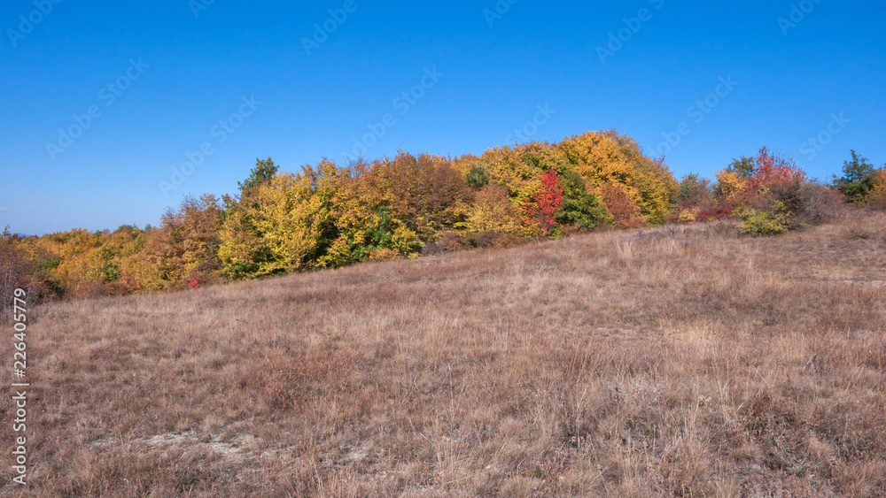 Amazing Autumn landscape of Cherna Gora (Monte Negro) mountain, Pernik Region, Bulgaria Amazing Autumn landscape of Cherna Gora (Monte Negro) mountain, Pernik Region, Bulgaria