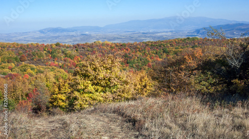 Amazing Autumn landscape of Cherna Gora (Monte Negro) mountain, Pernik Region, Bulgaria © hdesislava