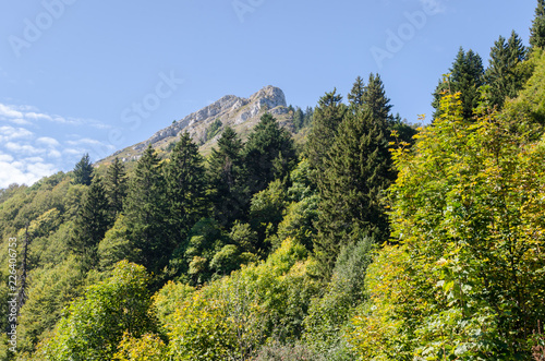 The Pinéa in Chartreuse mountains