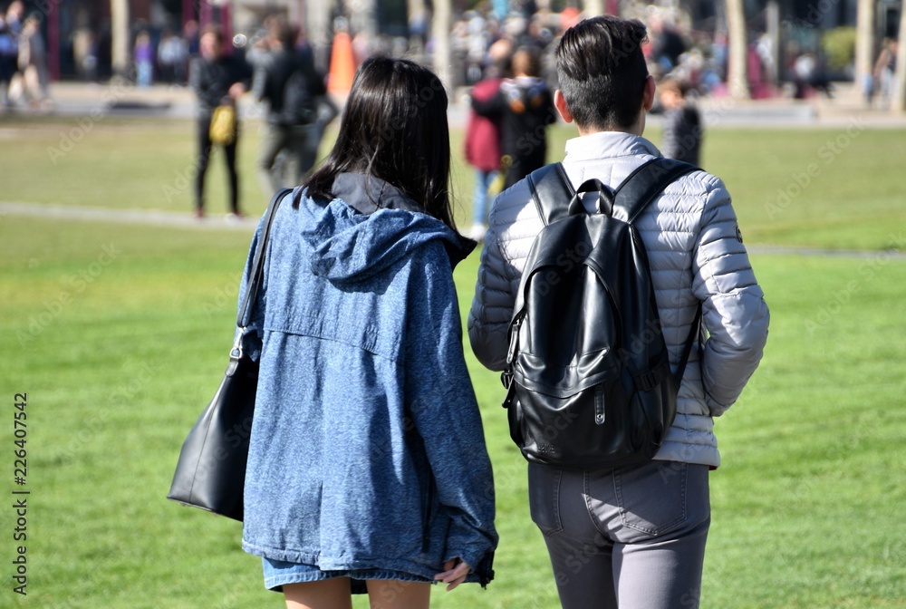 Fototapeta premium Amsterdam...tourisme