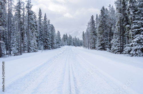 Forest Road Covered in Fresh Snow in the Canadian Rockies on a Winter Day. Concept of dangerous driving conditions.