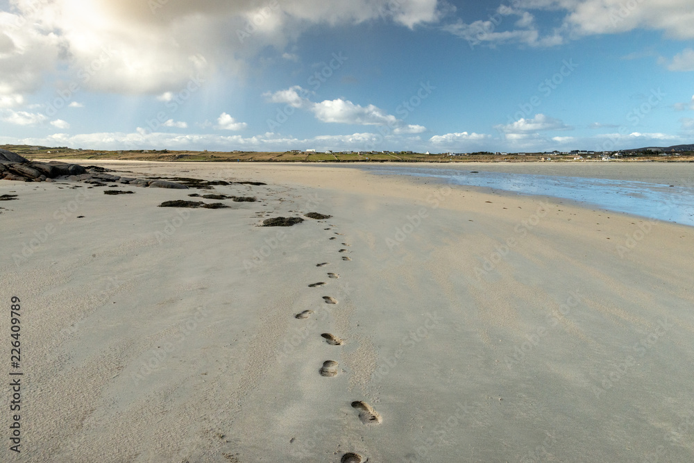 Obraz premium beach and sea footprints