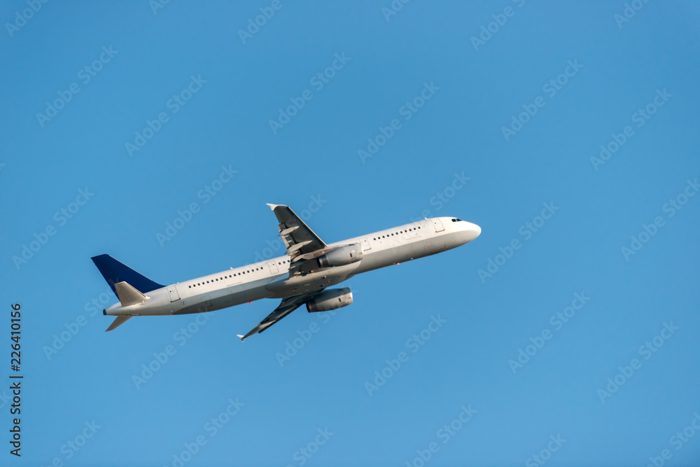 Fototapeta premium Passenger Airliner flying in the sky