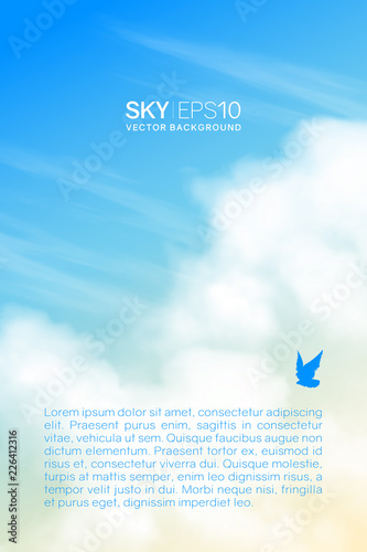 Vertical vector background with realistic beige-blue sky and clouds. The image can be used to design a banner, flyer and postcard.