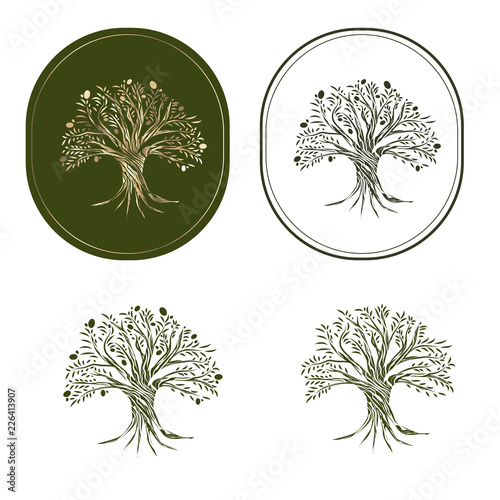 Olive Tree Set
