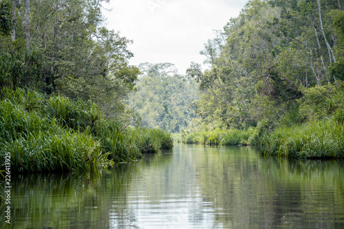 Navegando en el río de  Borneo 