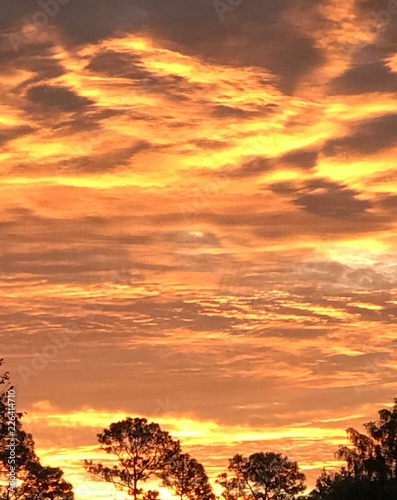 Mississippi Sunrise